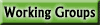 Working Groups