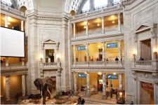 Museum of Natural History