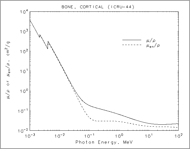 Bone, Cortical graph
