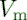 $V_{\rm m}$